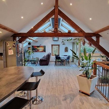 Bel Appartement 120 M² Tres Lumineux Avec Terrasse Morvillars Eksteriør bilde